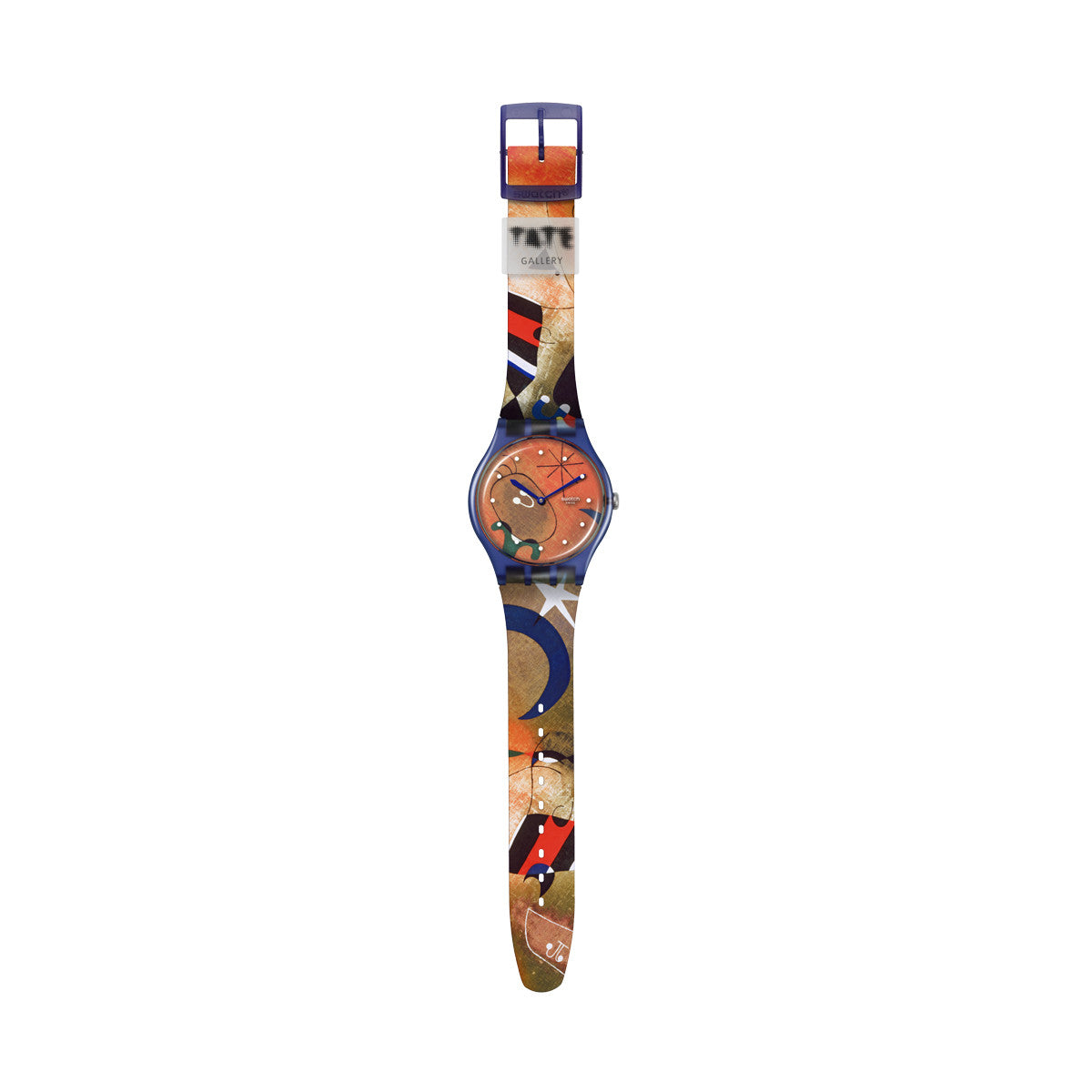 SWATCH WATCHES Mod. SO29Z136-1